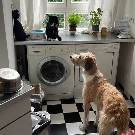 Schoenes In Charlottenburg *