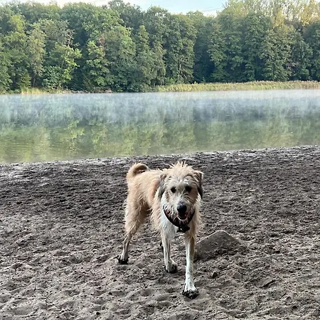 Δωμάτια σε οικογενειακή κατοικία Schoenes In Charlottenburg Βερολίνο