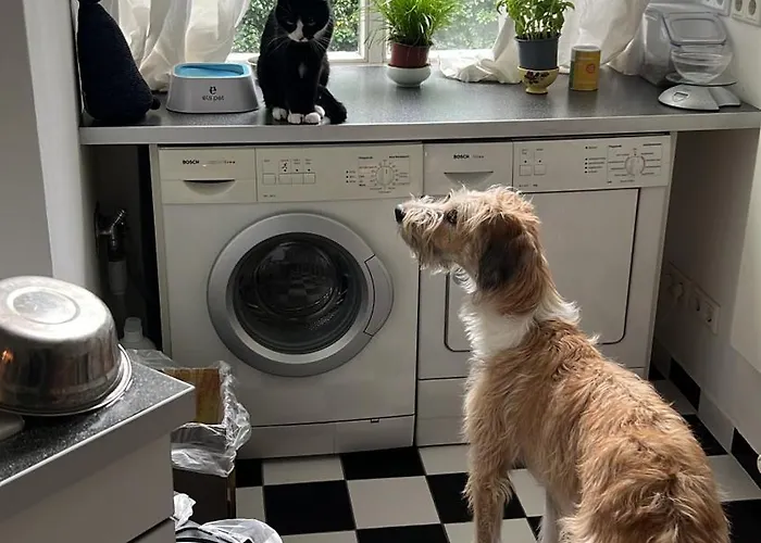 Schoenes In Charlottenburg *