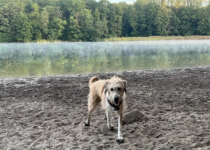 Rum i privatbostad Schoenes In Charlottenburg Berlin