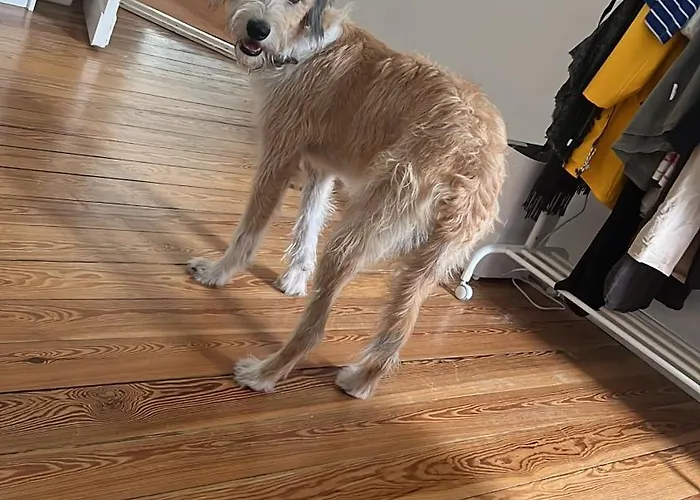 Schoenes In Charlottenburg Δωμάτια σε οικογενειακή κατοικία *